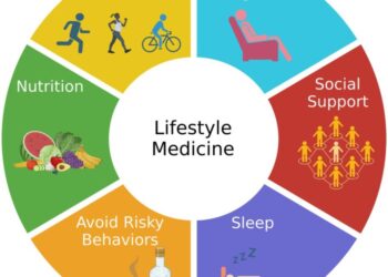 Frontiers | Diet and lifestyle impact the development and progression ...