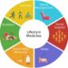 Frontiers | Diet and lifestyle impact the development and progression ...